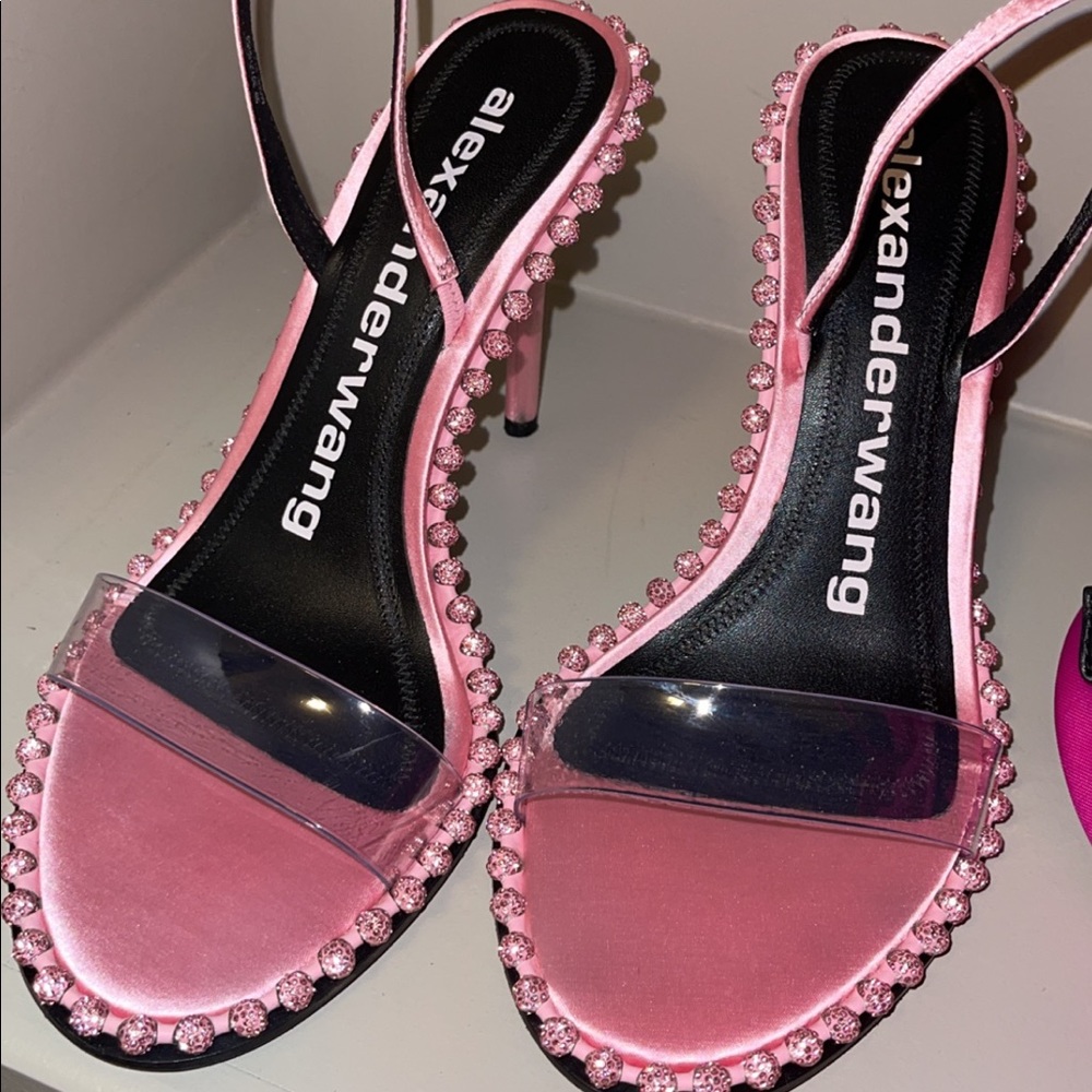 Alexander wang